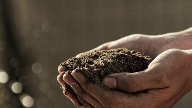 bokeh photography of person carrying soil